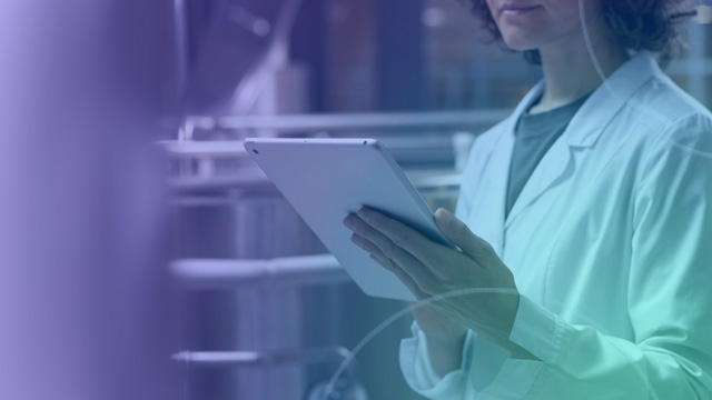 Ibernova | Como assegurar um controlo de qualidade eficiente nas empresas?